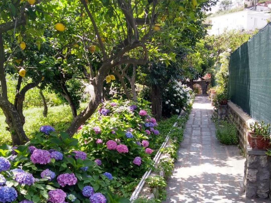 Casa Paolina - Casa Vacanze Capri Extérieur photo